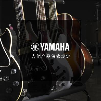 吉他、贝斯和音箱